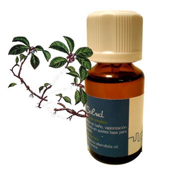 Aceite esencial 'wintergreen'